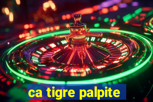 ca tigre palpite